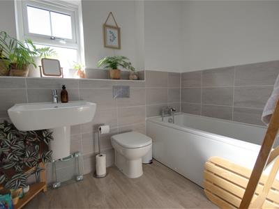 Picture 13